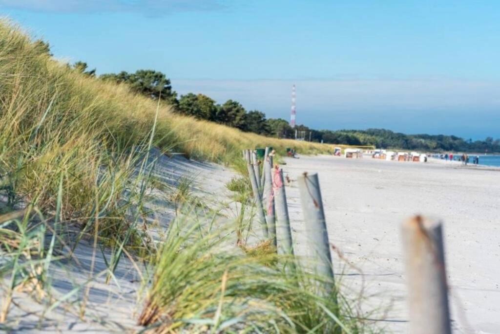 Ferienhaus Sanddorn Breege- Zwischen Bodden & Meer Buitenkant foto